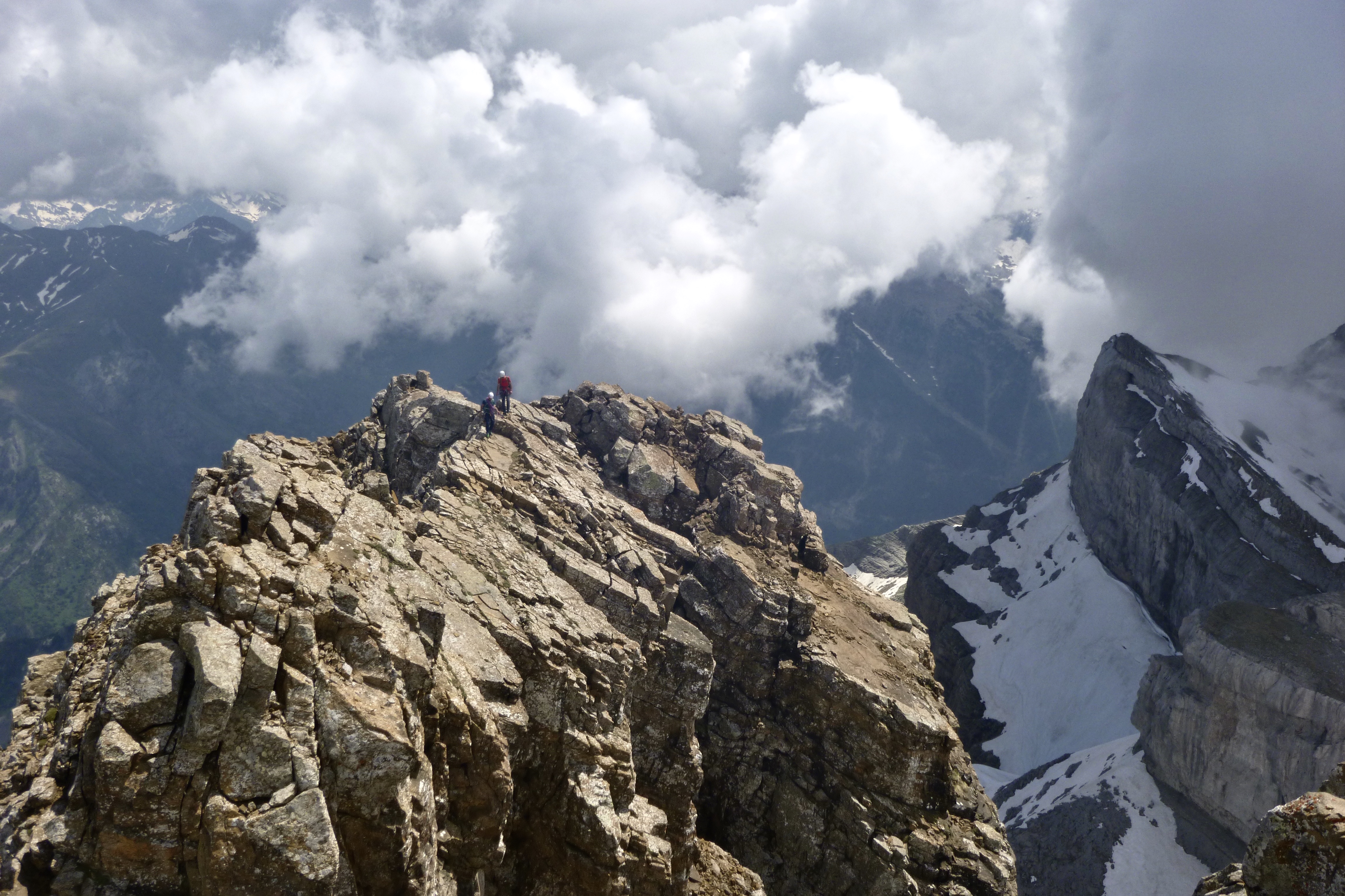 ARISTA DEL MURCIÉLAGO